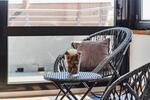 Terrassenwohnung Neustadt an der Weinstraße - 2 Zimmer, 62 m&sup2;, 1.100&euro; | Angebot:26615971