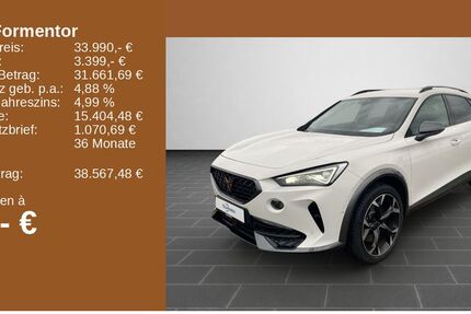Cupra Formentor 18.500 km 32.490 € Neustadt a.d. Weinstraße 67433