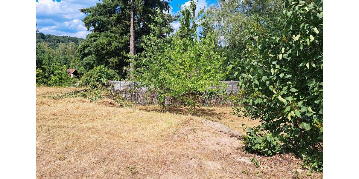 Einfamilienhaus Wachenheim an der Weinstraße - 80.000&euro; | Angebot:27104318