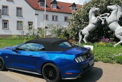 Ford Mustang 13.000 km 38.383 &euro; Kerzenheim 67304