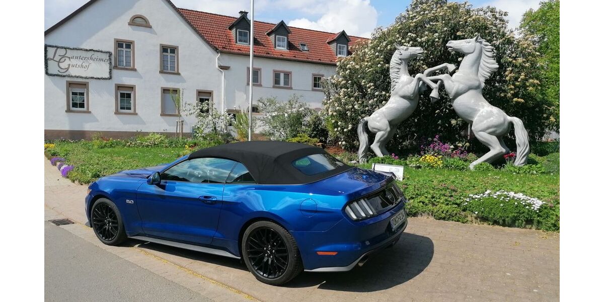 Ford Mustang 13.000 km 39.939 &euro; Kerzenheim 67304