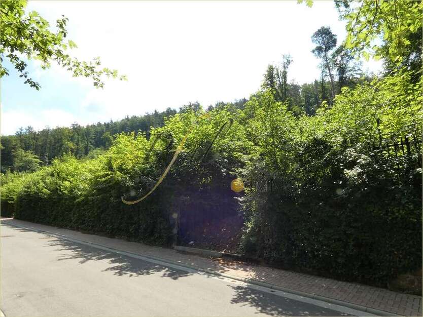 Grundstück zu verkaufen in Rodalben 225.000 € 2193.5 m²