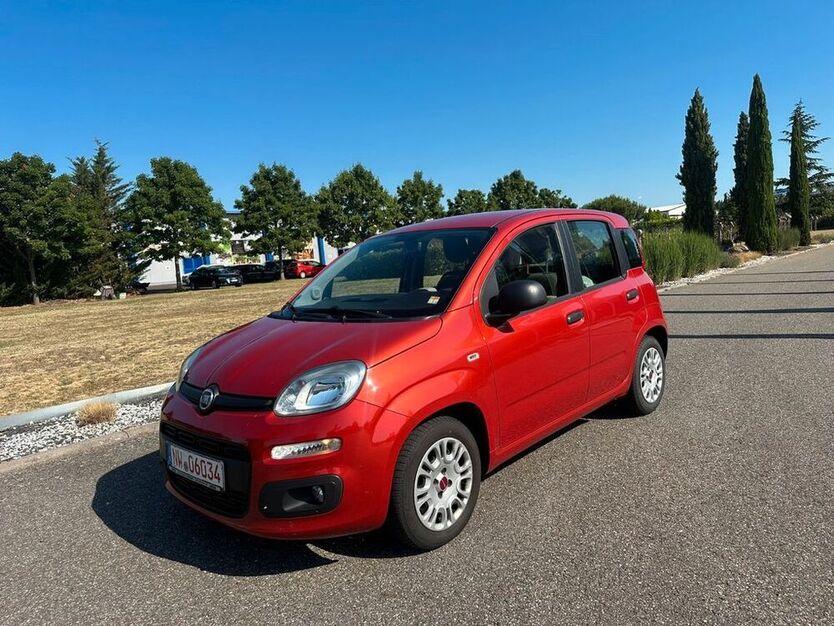 Panda