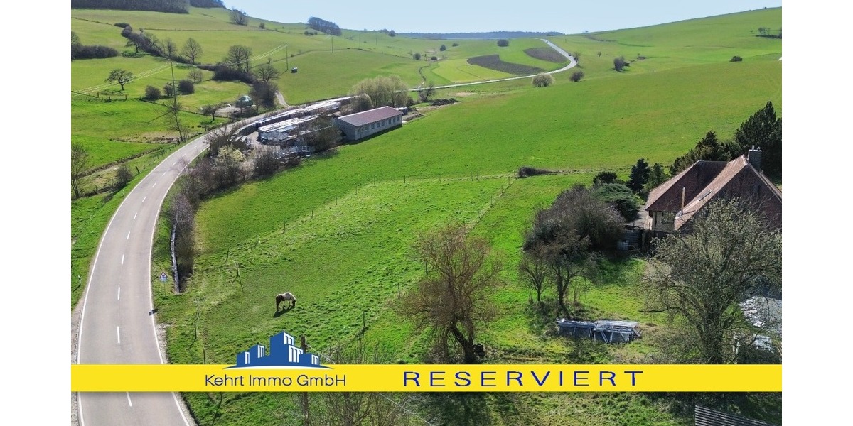 Ein außergewöhnliches Grundstück für Visionäre und Macher! - Grundstück Heiligenmoschel | Angebot:25806452