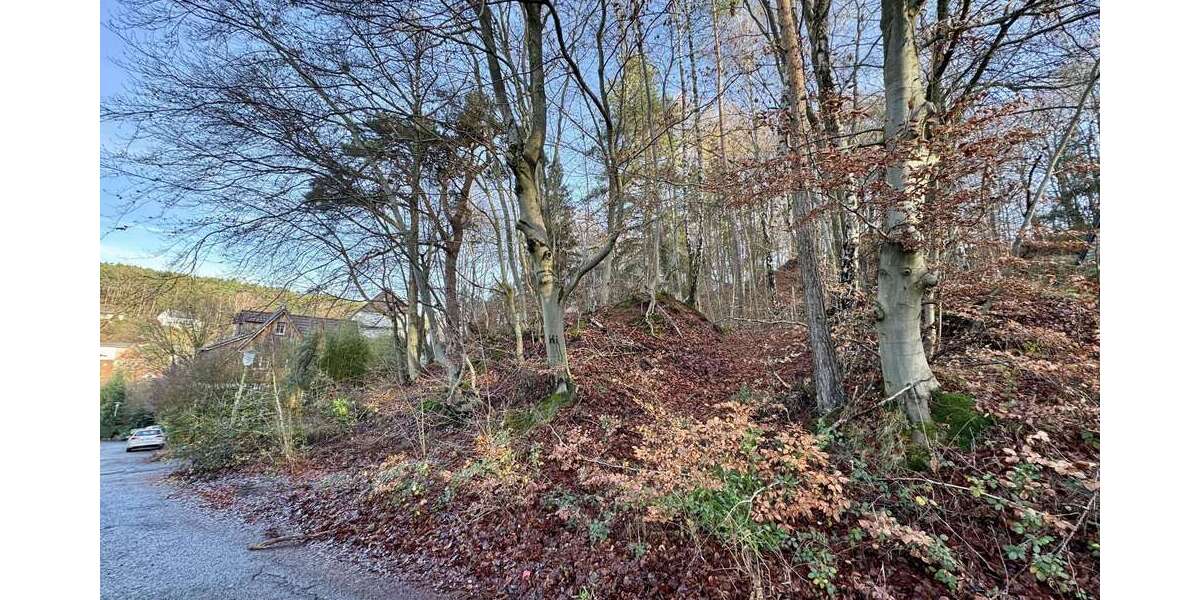 Grundstück zu verkaufen in Kaiserslautern 99.000 € 1242 m² zimmer