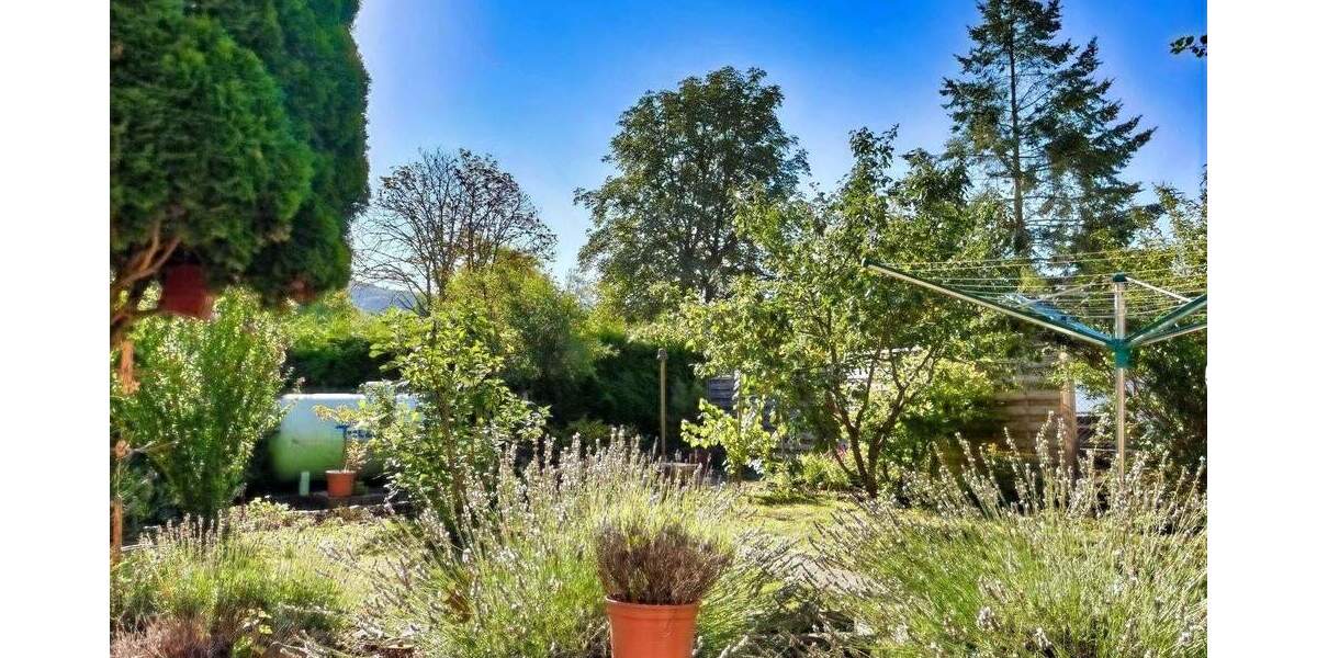 Reihenendhaus Odenbach - 1 Zimmer, 160 m&sup2;, 294.000&euro; | Angebot:25821878