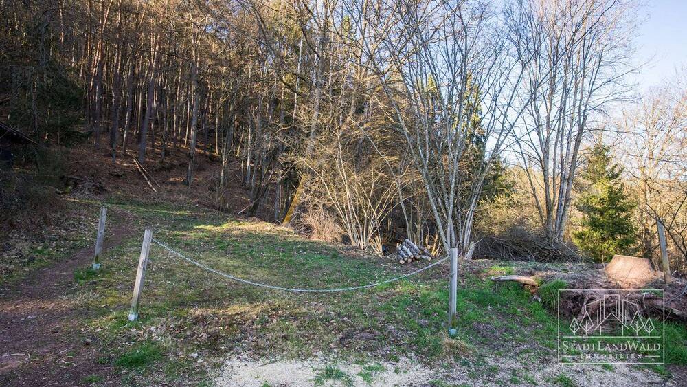Grundstück Elmstein Schafhof - 165.000&euro; | Angebot:26155236