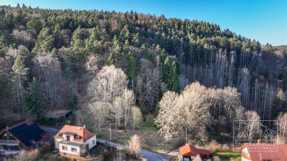Grundstück Elmstein Schafhof - 165.000&euro; | Angebot:26155236