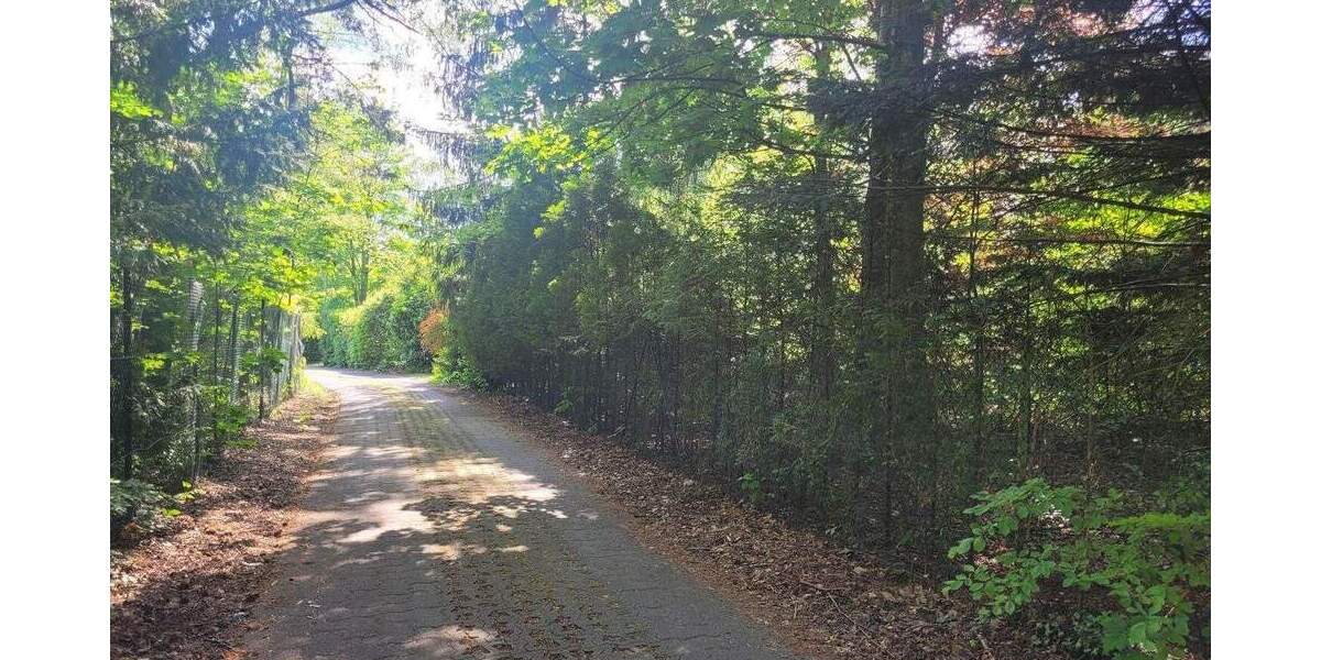 Grundstück Trippstadt - 130.000&euro; | Angebot:24532818