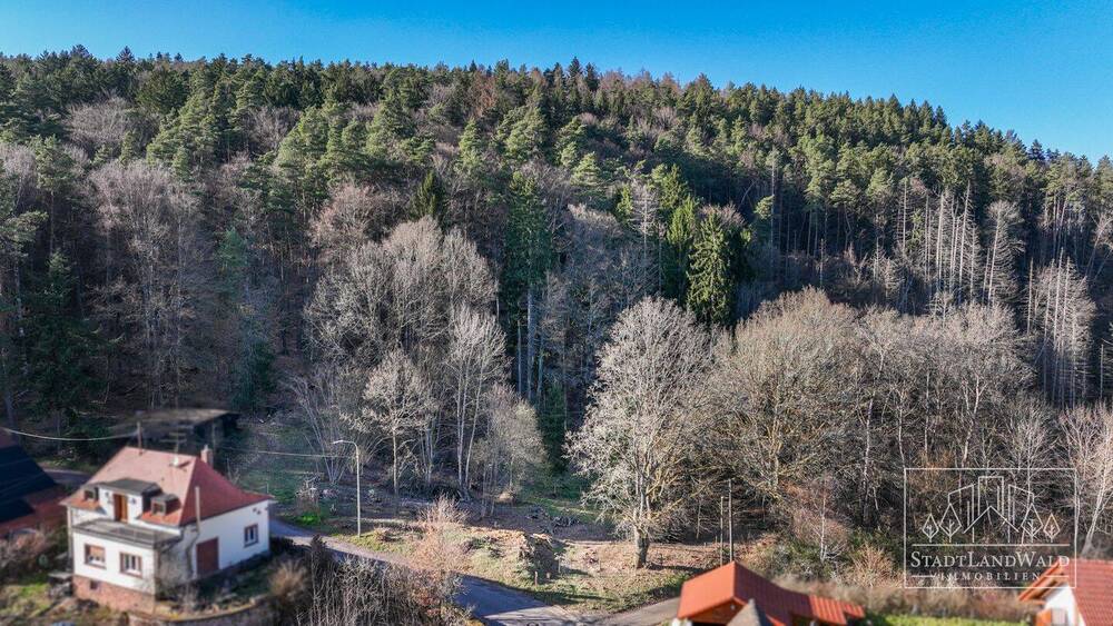 Grundstück Elmstein Schafhof - 165.000&euro; | Angebot:26155236