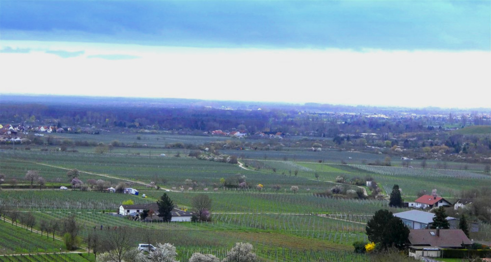 Etagenwohnung Neustadt Haardt - 4 Zimmer, 106 m&sup2;, 348.000&euro; | Angebot:24698704