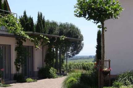 Wohnen auf Zeit in Wachenheim an der Weinstraße 800 € 1 zimmer