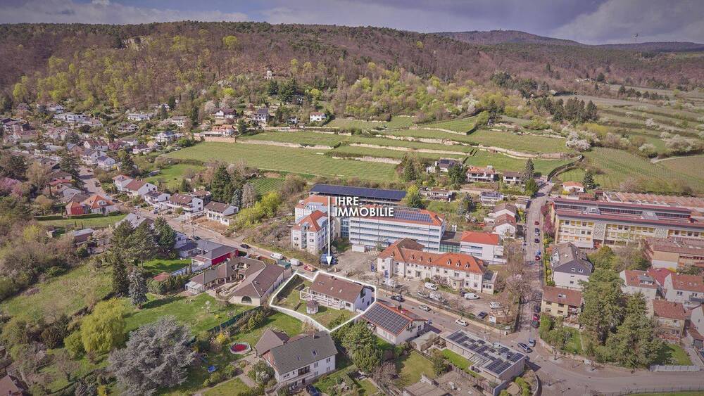 Einfamilienhaus Bad Dürkheim - 8 Zimmer, 290 m&sup2;, 975.000&euro; | Angebot:26486631