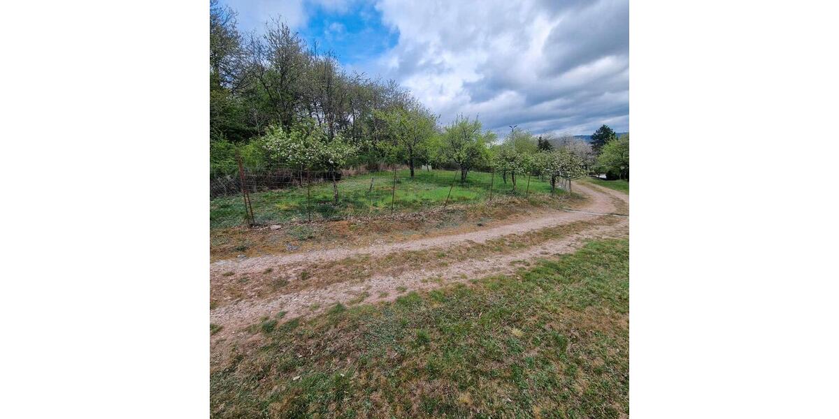 Einfamilienhaus Winnweiler - 2 Zimmer, 80 m&sup2;, 285.000&euro; | Angebot:25614200