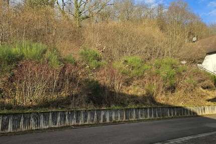 Grundstück Ramberg - 149.000&euro; | Angebot:19381160