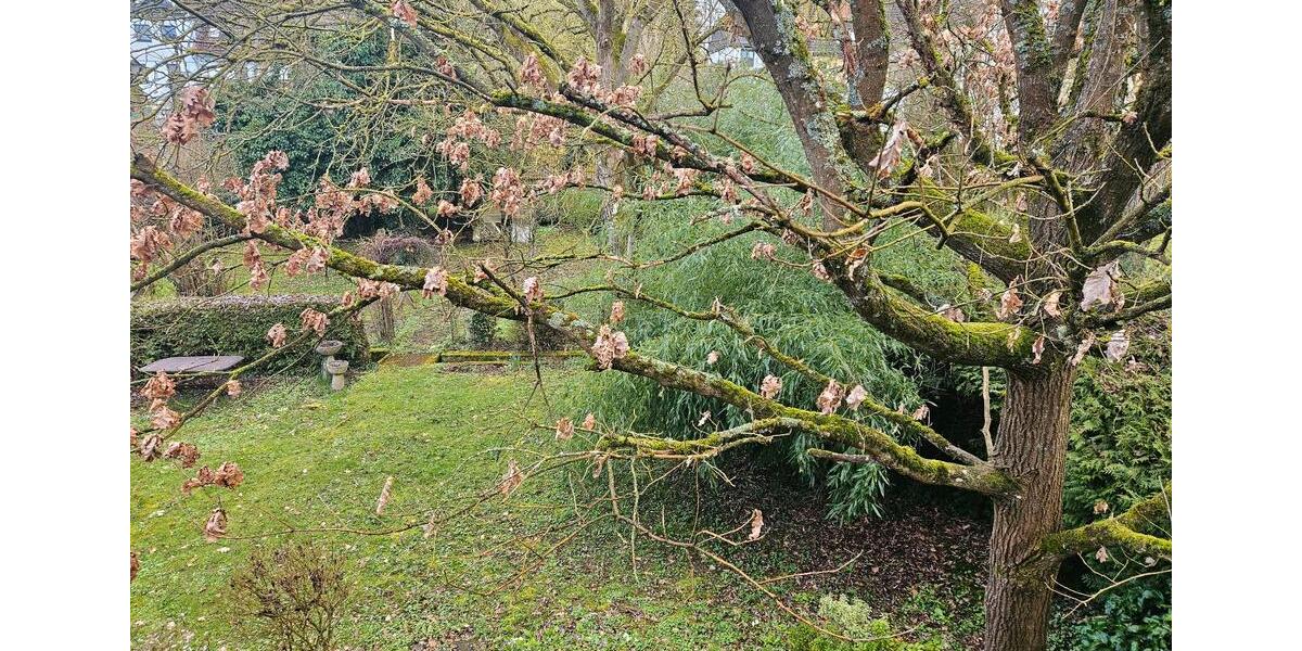 Doppelhaushälfte Otterberg - 1 Zimmer, 90 m&sup2;, 790&euro; | Angebot:26004004