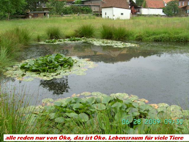 Einfamilienhaus Weilerbach - 7 Zimmer, 188 m&sup2;, 1.350&euro; | Angebot:26135764