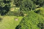 Mehrfamilienhaus, Wohnhaus Niedermohr-Schrollbach Schrollbach - 1 Zimmer, 270 m&sup2;, 348.000&euro; | Angebot:25675952
