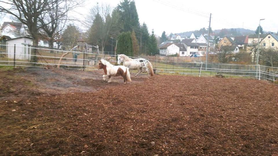 Bauernhaus, Landhaus Mehlbach - 7 Zimmer, 200 m&sup2;, 289.000&euro; | Angebot:25868043