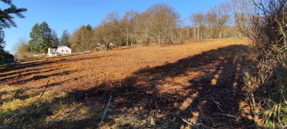 Grundstück Neuhemsbach - 115.000&euro; | Angebot:25691406