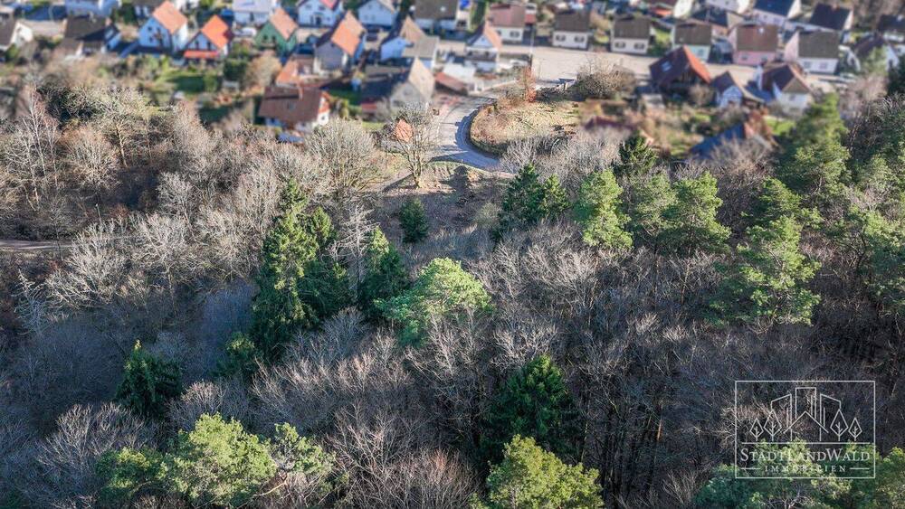 Grundstück Elmstein Schafhof - 165.000&euro; | Angebot:26155236