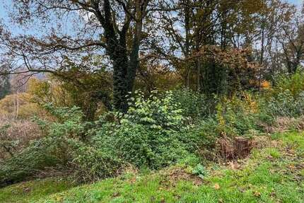 Grundstück zu verkaufen in Münchweiler an der Rodalb 75.000 € 1195 m² zimmer