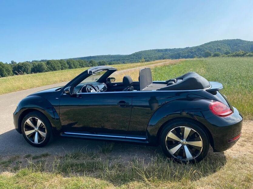 Beetle