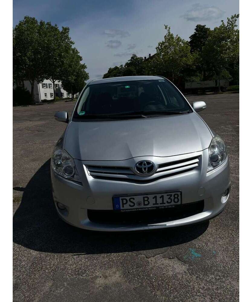 Auris