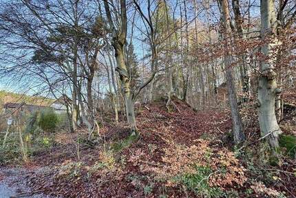 KL - Erlenbach: Schönes Baugrundstück in Ortsrandlage zimmer