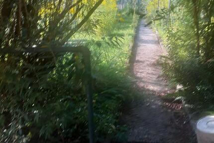 Wohn-Geschäftshaus o. 1-2 FH mit schönem Garten, 194 qm WFL, 440 8 zimmer