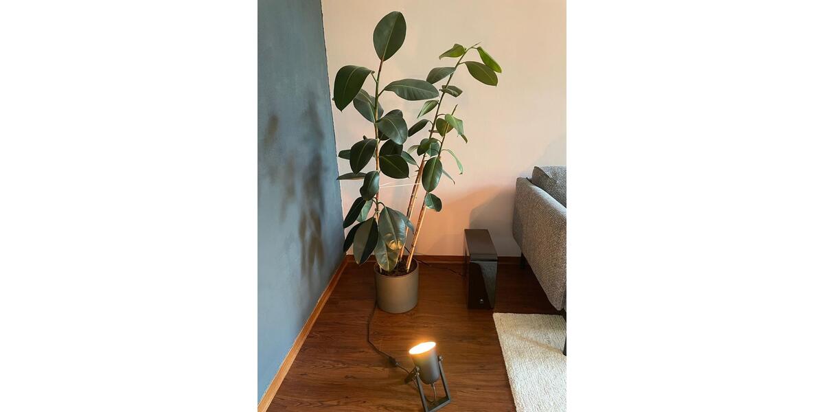 Exklusives Loft im Industriestil – 170 m² in Thaleischweiler 5 zimmer