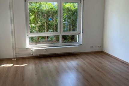 Frisch renovierte 3-Zimmer-EG-Wohnung mit Terrasse provisionsfrei 3 zimmer