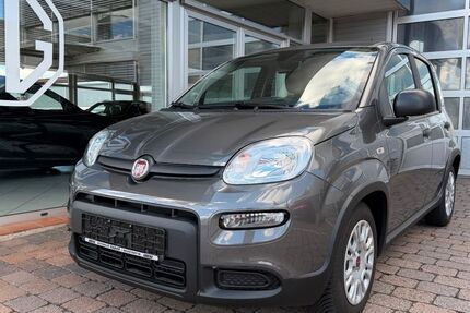 Fiat Panda 7.593 km 12.789 &euro; Neustadt 67433