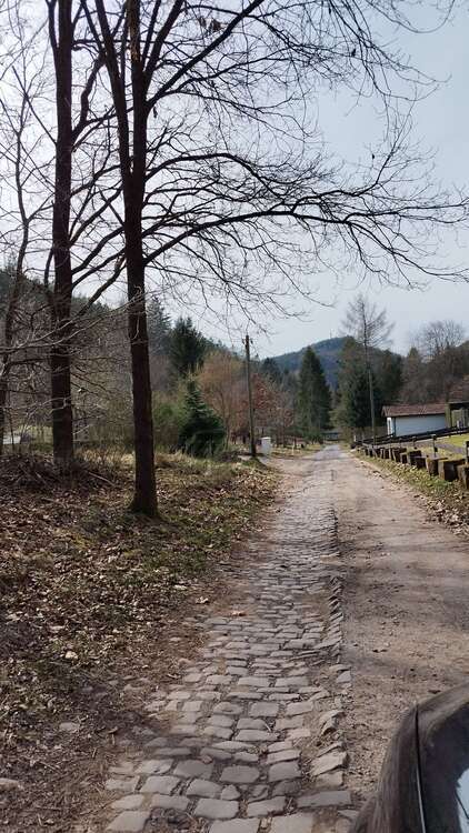Grundstück zu verkaufen in Frankenstein 17.000 € 2880 m²
