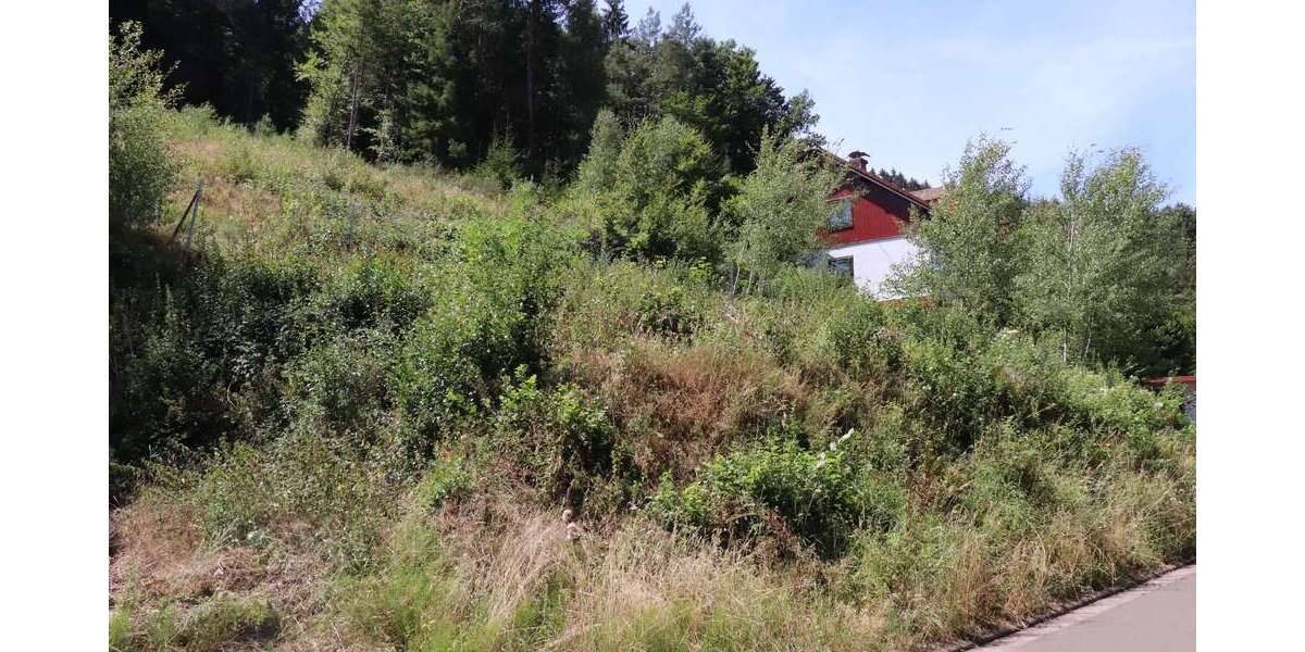 Grundstück zu verkaufen in Horbach 40.000 € 1355 m² zimmer