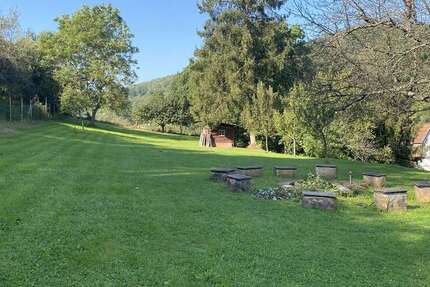 Wohnung Sulzbachtal - 4 Zimmer, 100 m&sup2;, 850&euro; | Angebot:25117974