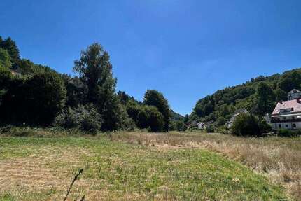 Grundstück zu verkaufen in Pirmasens 99.000 € 23432 m² zimmer