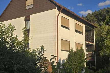 Haus Enkenbach-Alsenborn Alsenborn - 15 Zimmer, 300 m&sup2;, 450.000&euro; | Angebot:27302475