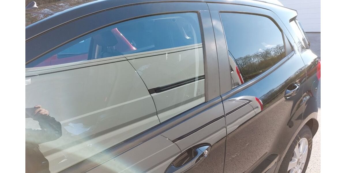 Ford EcoSport 51.000 km 10.000 &euro; Neustadt 67433