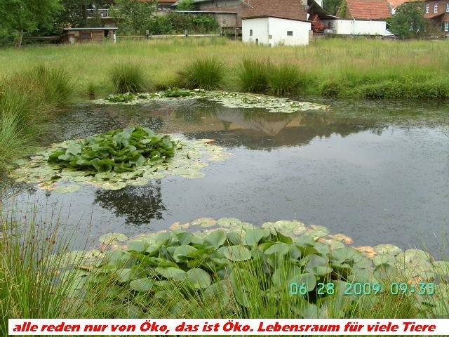 Etagenwohnung Weilerbach - 7 Zimmer, 144 m&sup2;, 880&euro; | Angebot:26610573
