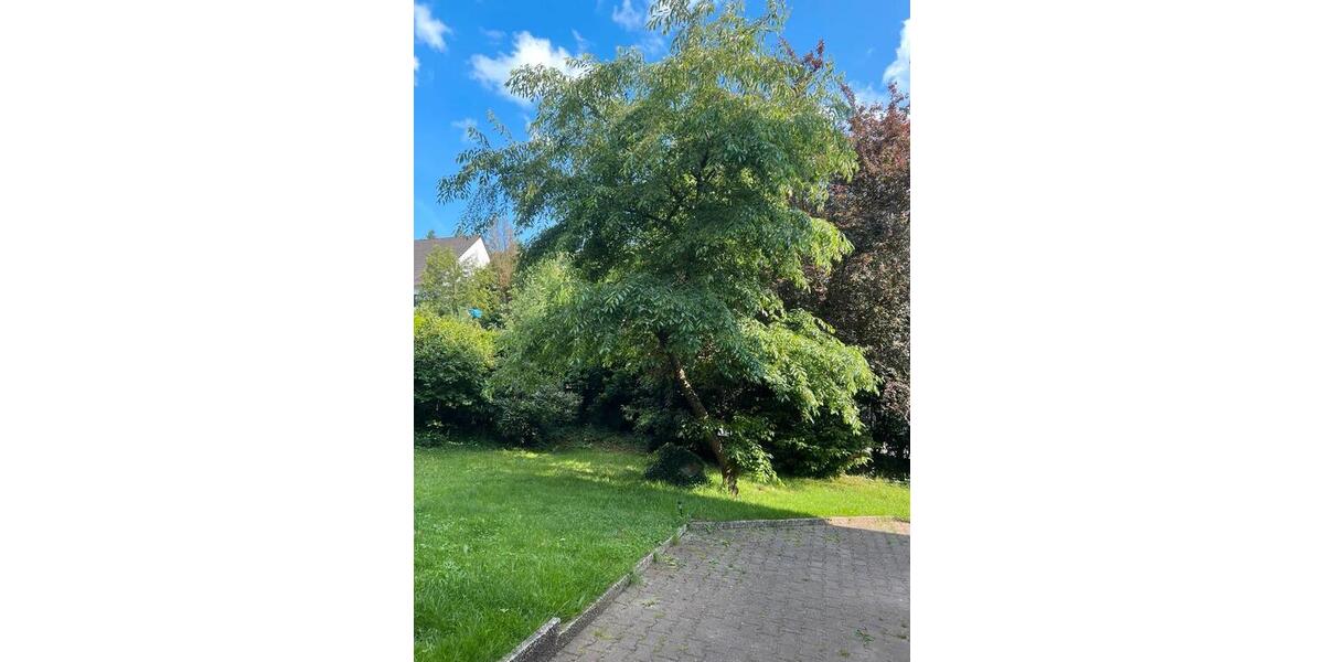 Einfamilienhaus Kaiserslautern Einsiedlerhof - 7 Zimmer, 208 m&sup2;, 429.000&euro; | Angebot:26768015