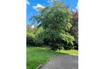 Einfamilienhaus Kaiserslautern Einsiedlerhof - 7 Zimmer, 208 m&sup2;, 429.000&euro; | Angebot:26768015