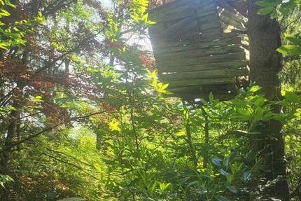 Idyllisches Baugrundstück umgeben von Natur zimmer
