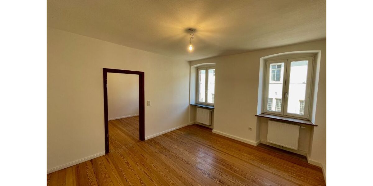 Provisionsfrei* Wunderschöne, komplett renovierte 140qm Altbauwohnung nahe Neustadt mit Garten - 5- Frankeneck bei Neustadt | Angebot:25908495
