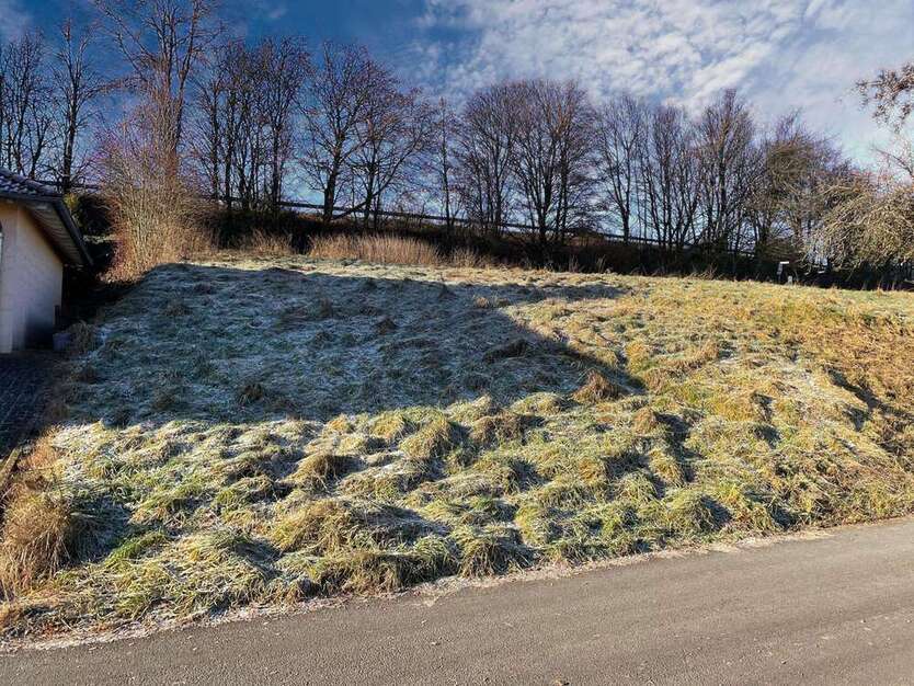 Grundstück zu verkaufen in Weselberg 60.000 € 537 m²