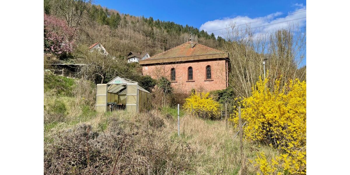 Provisionsfrei* Wunderschöne, komplett renovierte 140qm Altbauwohnung nahe Neustadt mit Garten - 5- Frankeneck | Angebot:25908495