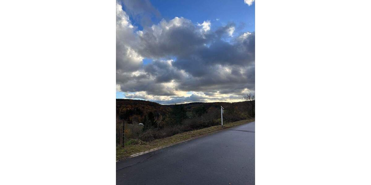 Grundstück Schiersfeld - 35.500&euro; | Angebot:25665551