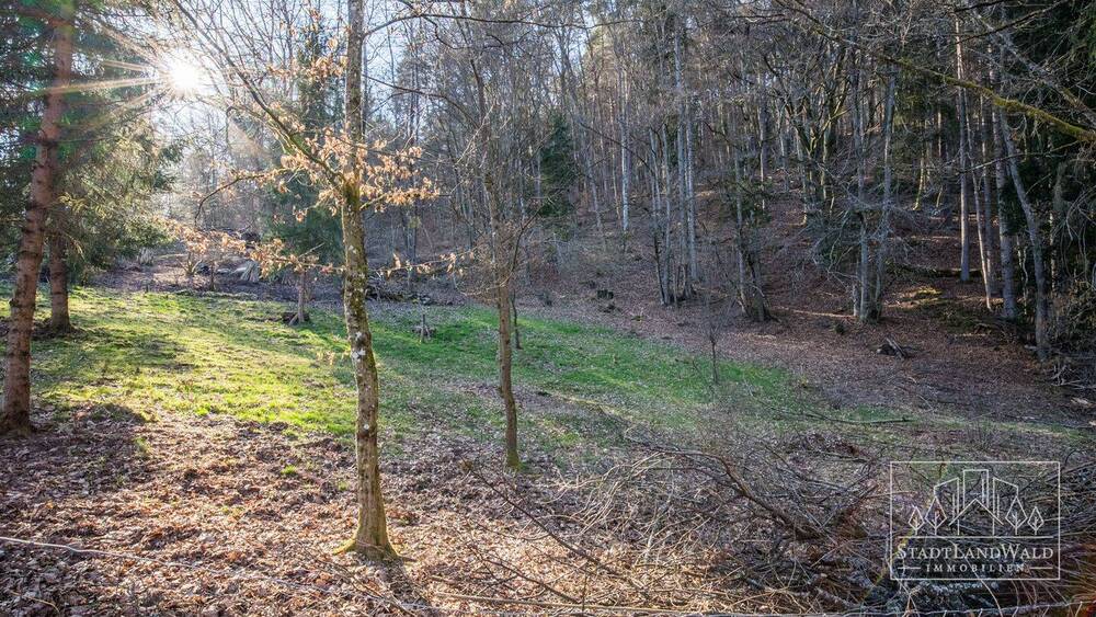 Grundstück Elmstein Schafhof - 165.000&euro; | Angebot:26155236