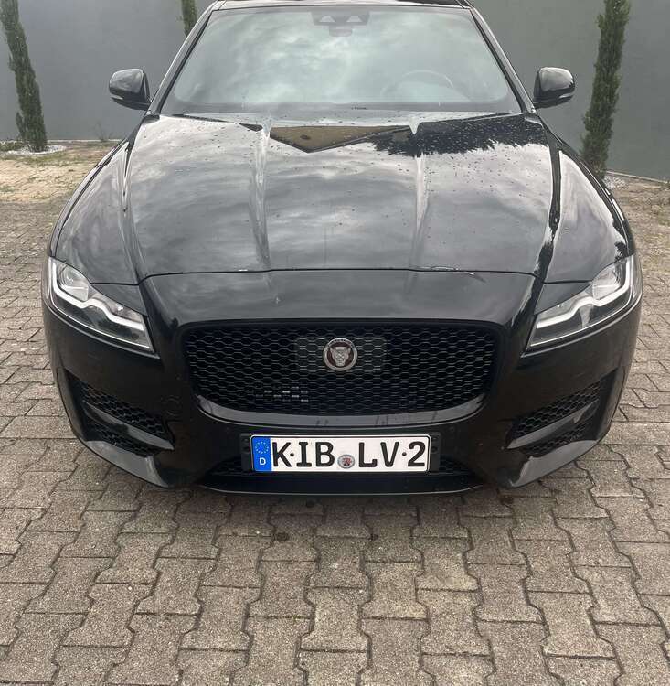XF