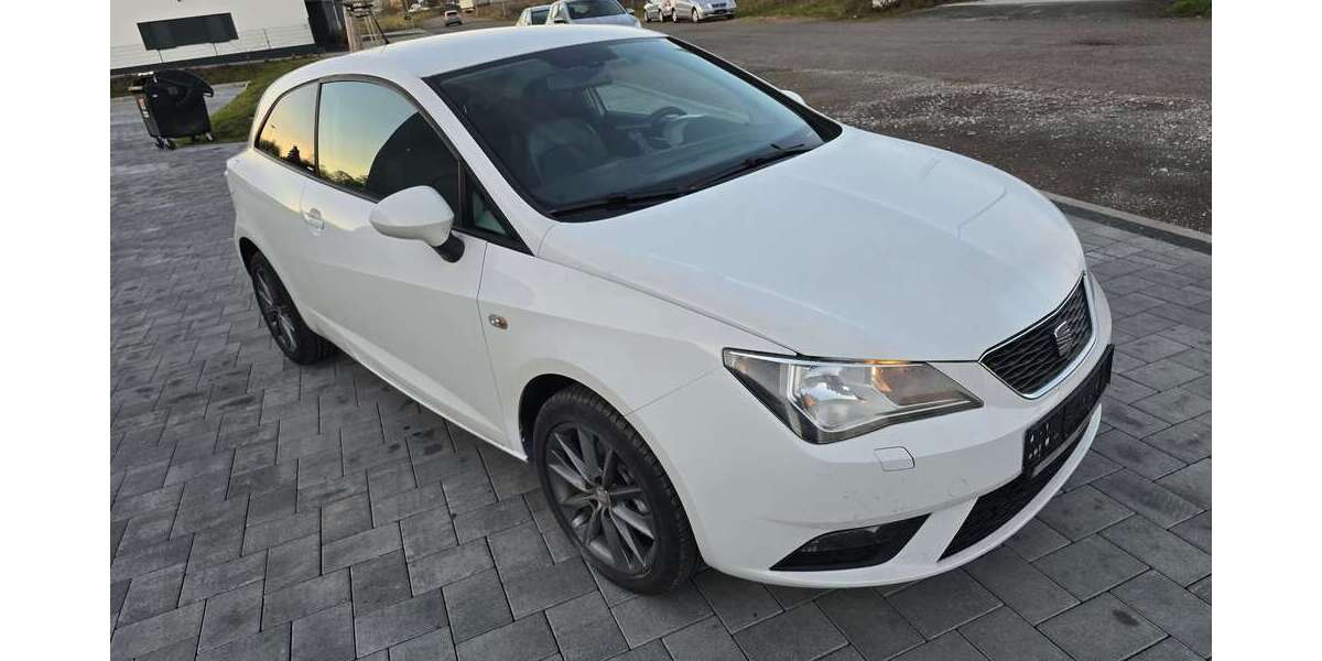 Seat Ibiza 169.710 km 4.500 &euro; Ramstein-Miesenbach 66877